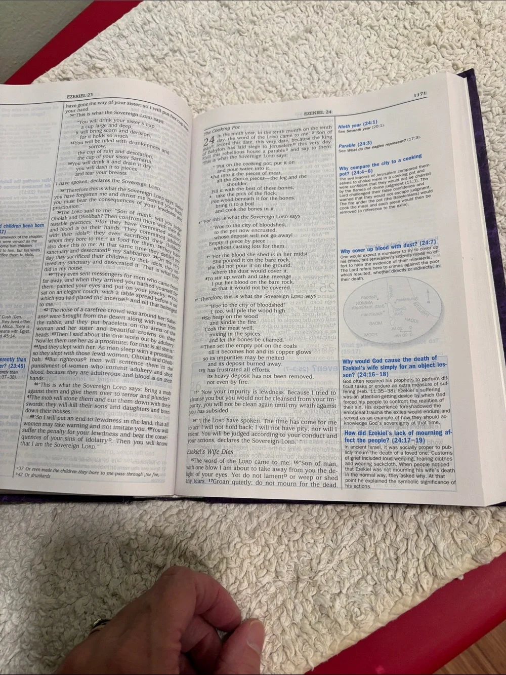 The Quest Study Bible - Purple Cover Rare